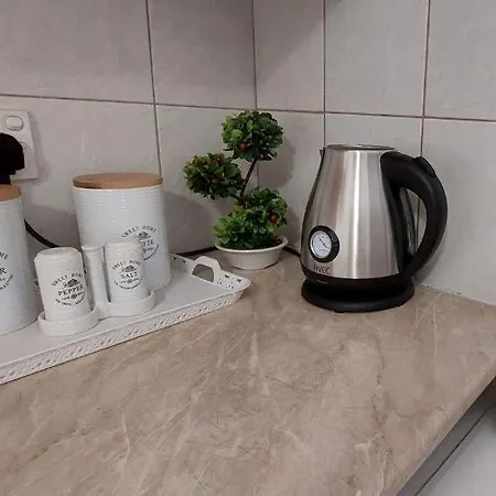1 Bedroom In Center Lägenhet *